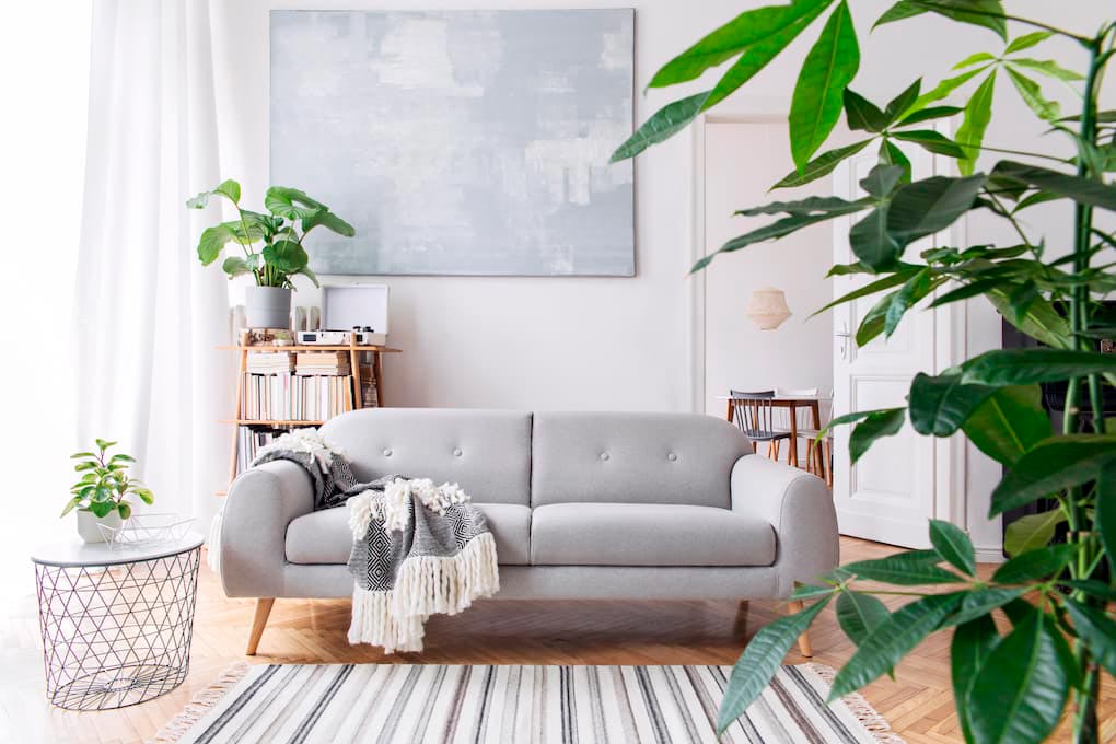 Przygotowaniu mieszkania do zdjęć, dekoracja